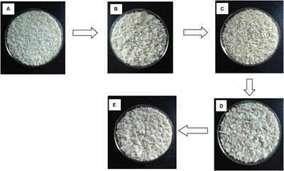 Preparation and physicochemical properties: a new extruded rice using cassava starch and broken rice flour